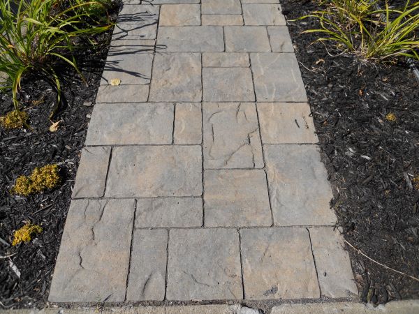 Stamped Concrete Staining in Everett