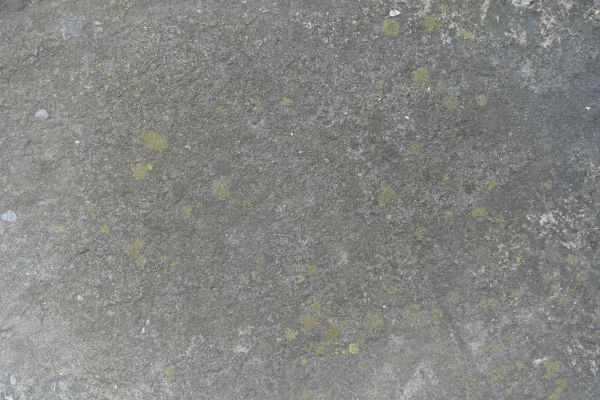 Cost of Slab Staining Service in Everett